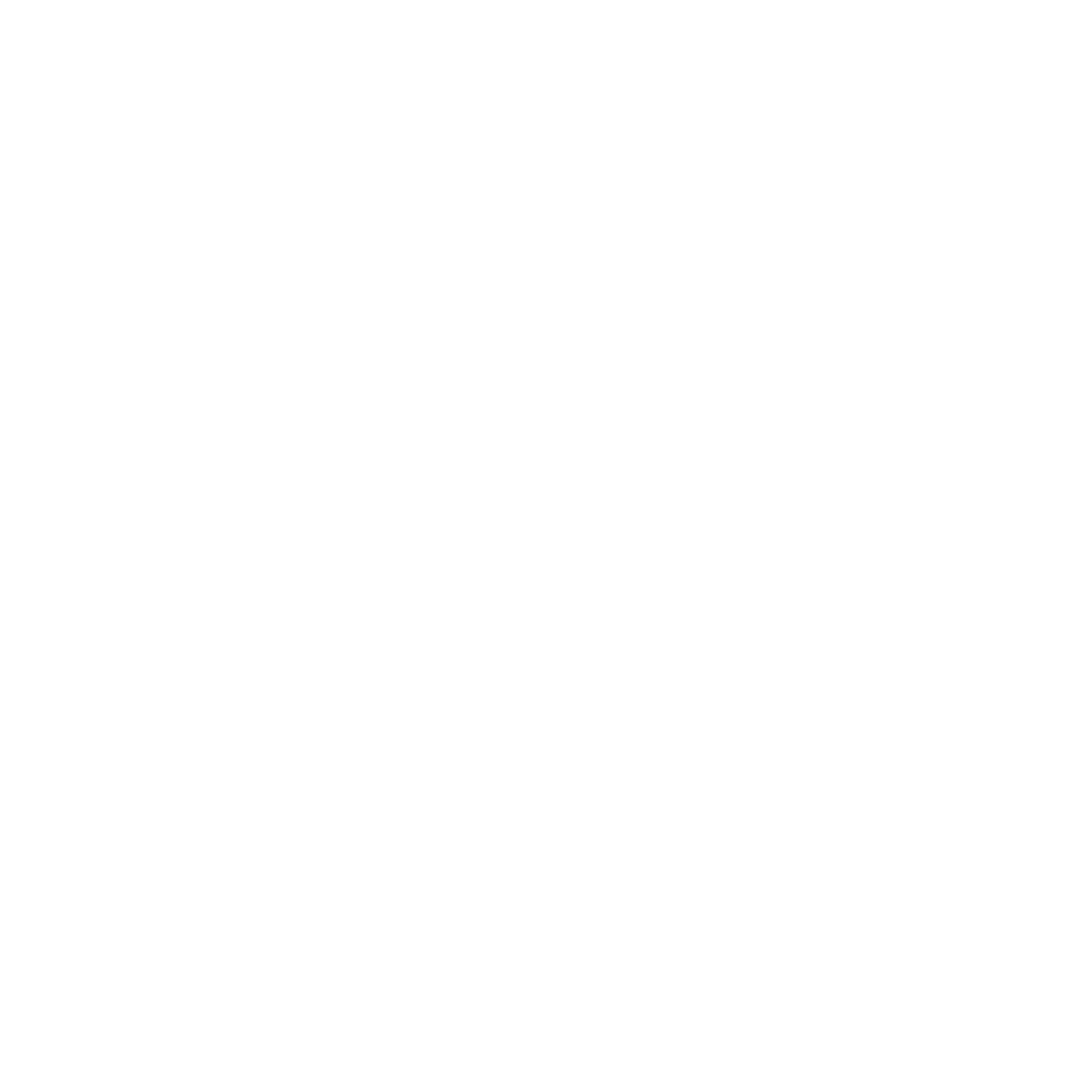 Little Bird Financial mark: a doctor bird and a magpie facing each other